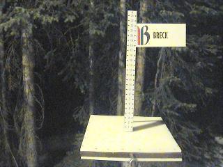 Breckenridge: Snow stake (breckenridge.com)