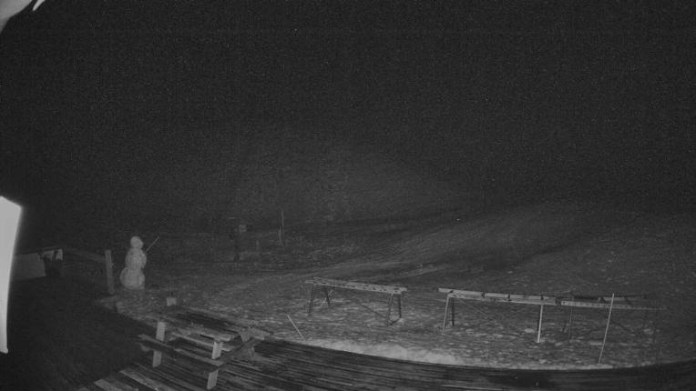 Webcam Broken River: Palmer 1