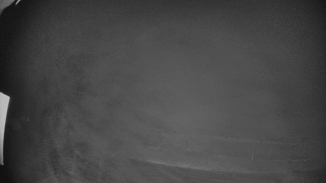 Webcam Broken River: Palmer 1