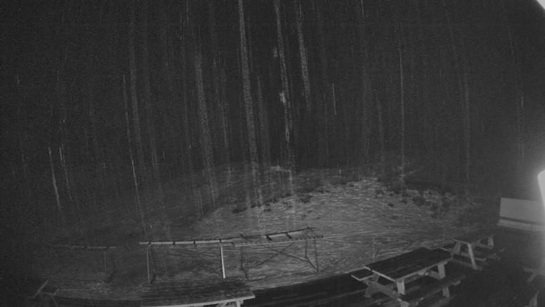 Webcam Broken River: Palmer 1