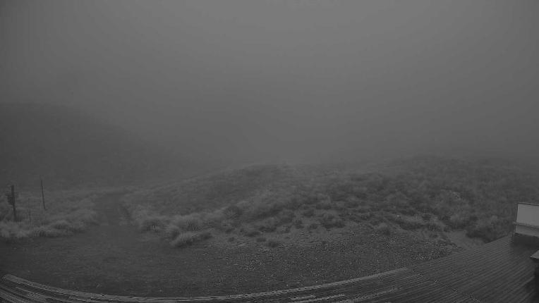 Webcam Broken River: Palmer 1