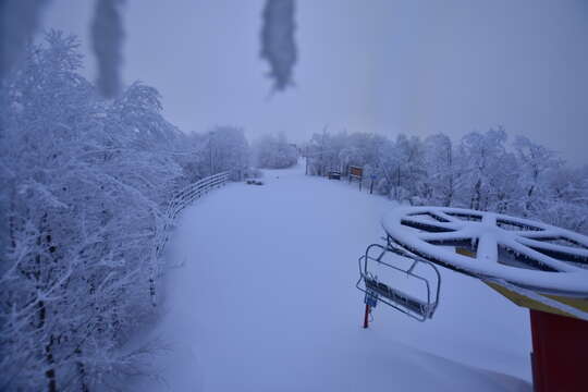 Webcam Bromont: Express du Lac