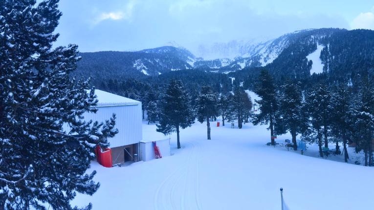 Webcam Cambre d Aze: Pla