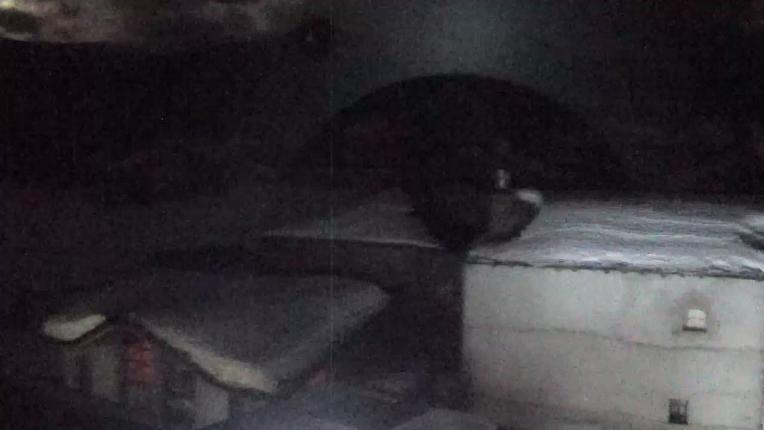 Webcam Cambre d Aze: Sant pierre del forcats