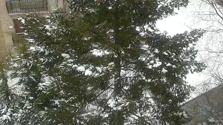 Webcam Cambre d Aze: Sant pierre del forcats