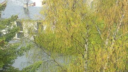 Cambre d Aze: Sant pierre del forcats (viewsurf.com)