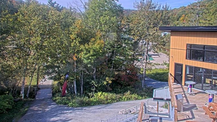Webcam Camp Fortune: Valley