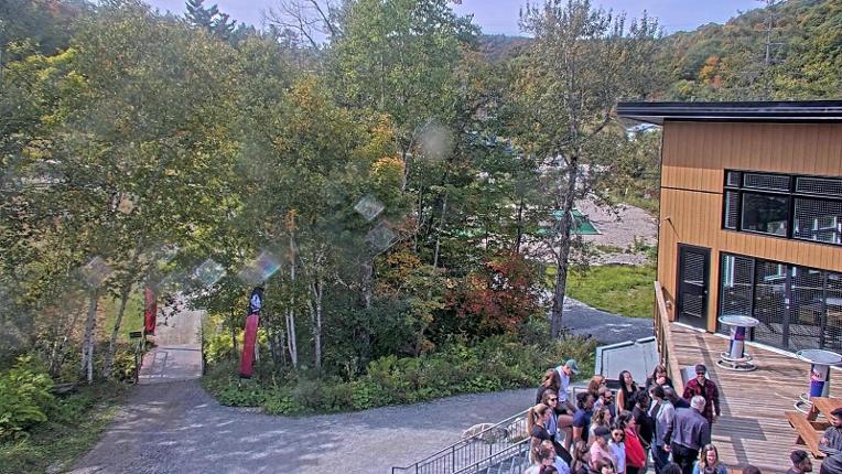 Webcam Camp Fortune: Valley