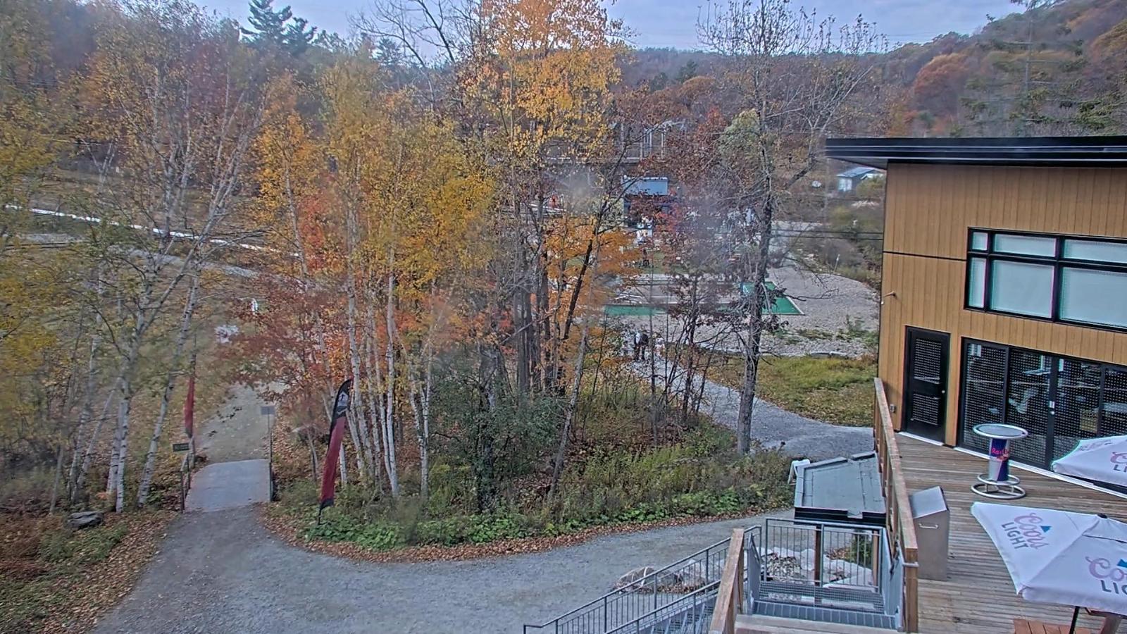 Webcam Camp Fortune: Valley