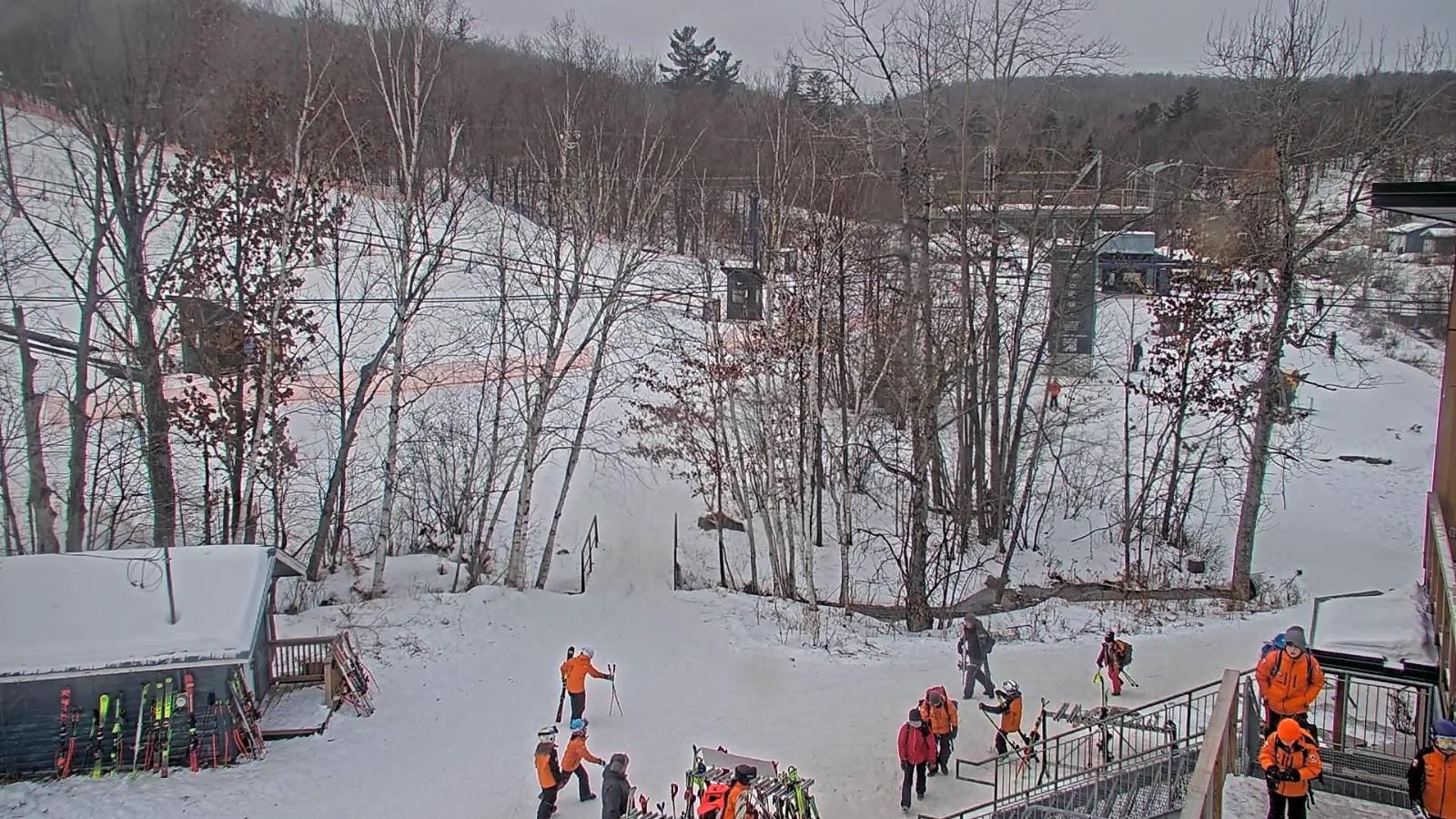 Webcam Camp Fortune: Valley