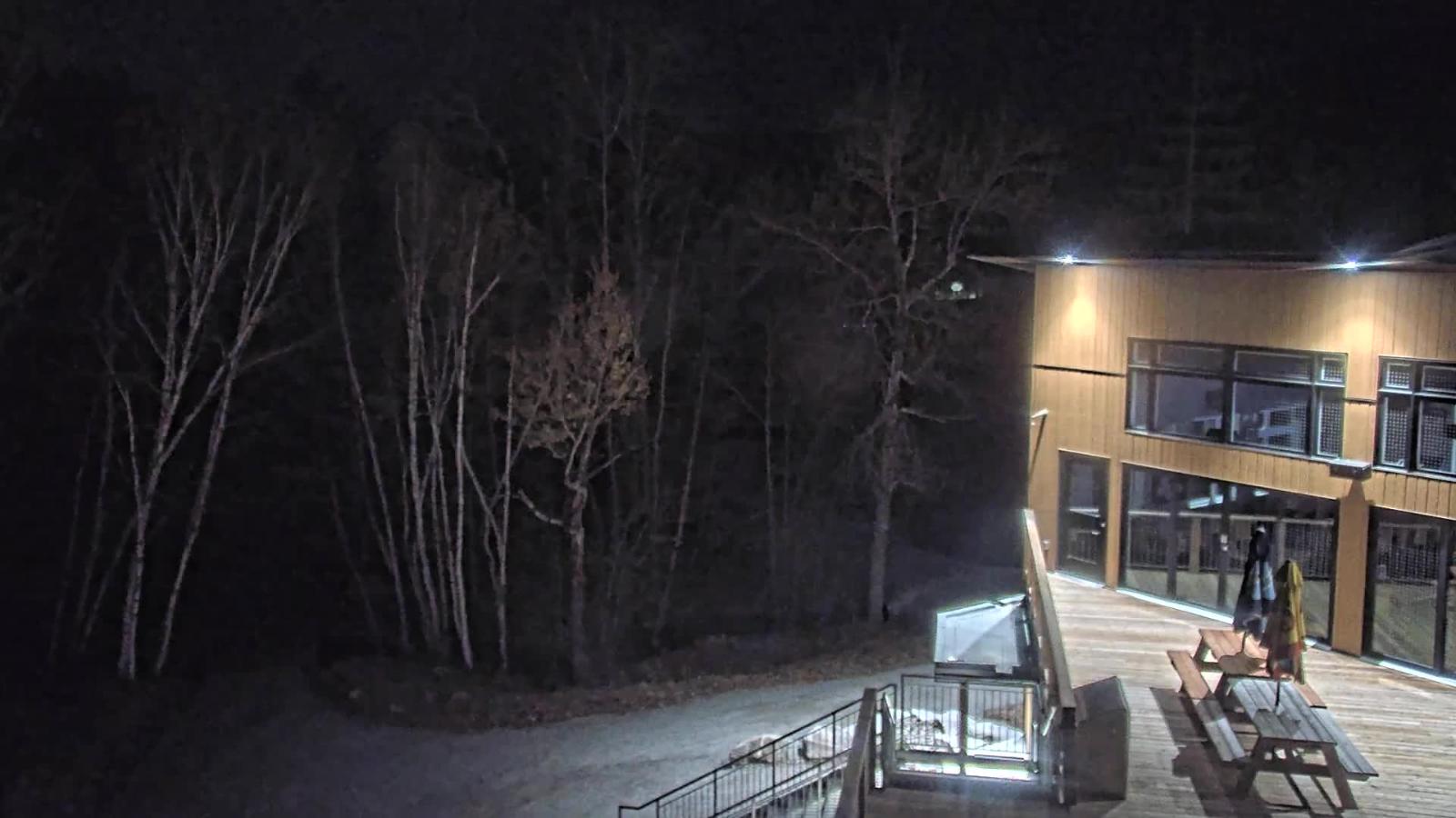 Webcam Camp Fortune: Valley