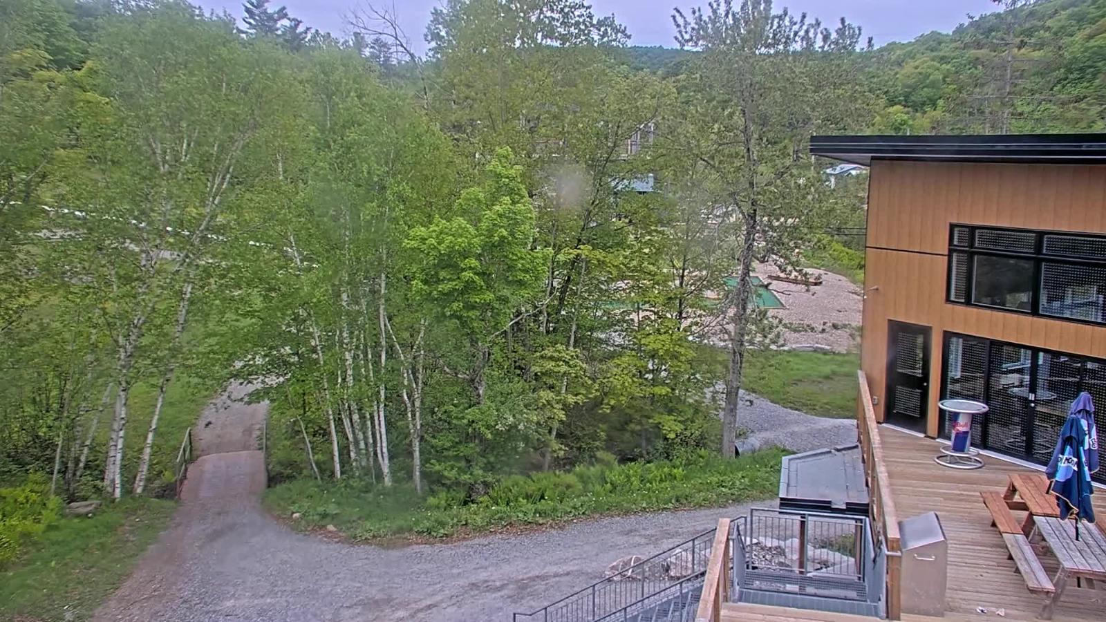 Webcam Camp Fortune: Valley