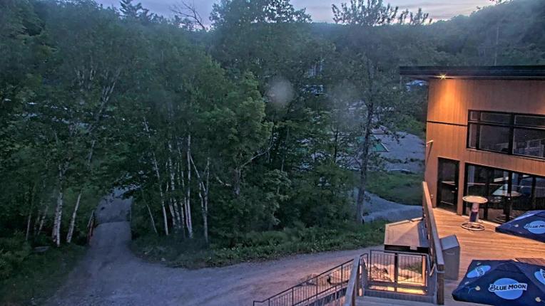 Webcam Camp Fortune: Valley