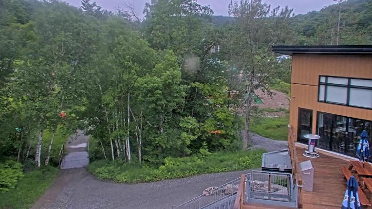 Webcam Camp Fortune: Valley