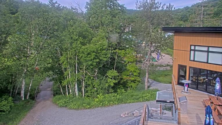 Webcam Camp Fortune: Valley