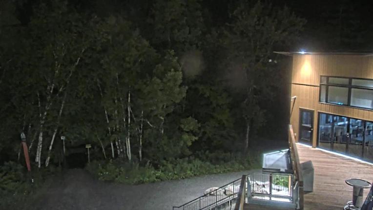 Webcam Camp Fortune: Valley