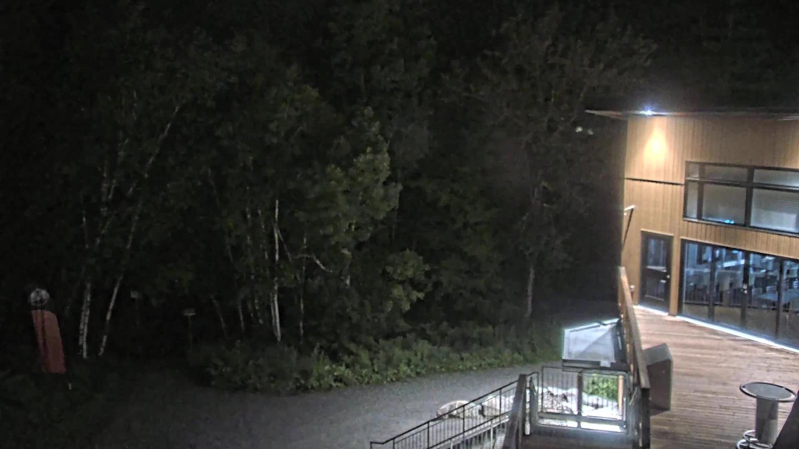 Webcam Camp Fortune: Valley