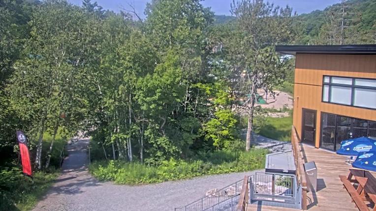 Webcam Camp Fortune: Valley