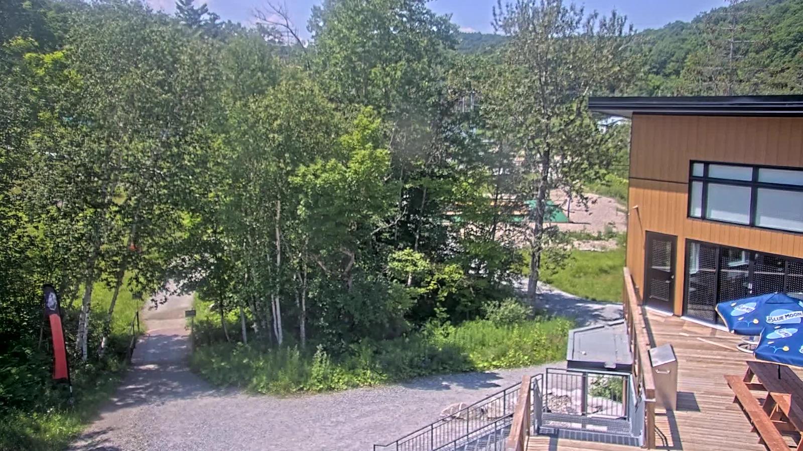 Webcam Camp Fortune: Valley