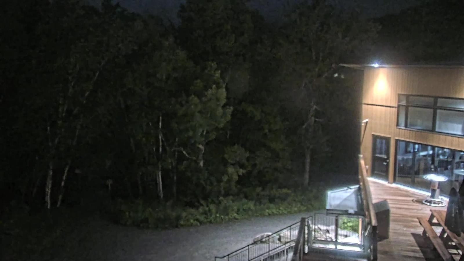 Webcam Camp Fortune: Valley