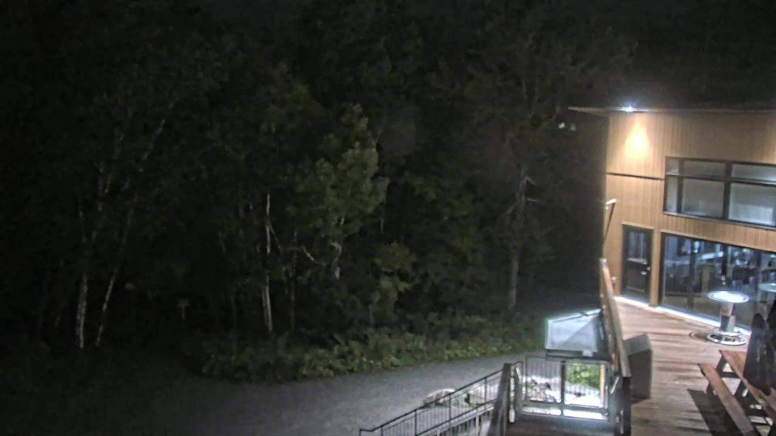 Webcam Camp Fortune: Valley