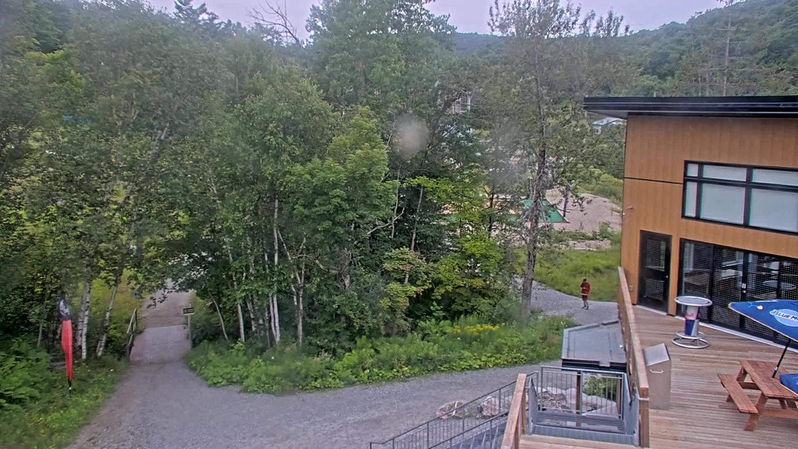 Webcam Camp Fortune: Valley