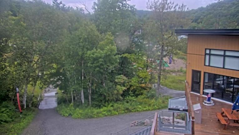 Webcam Camp Fortune: Valley