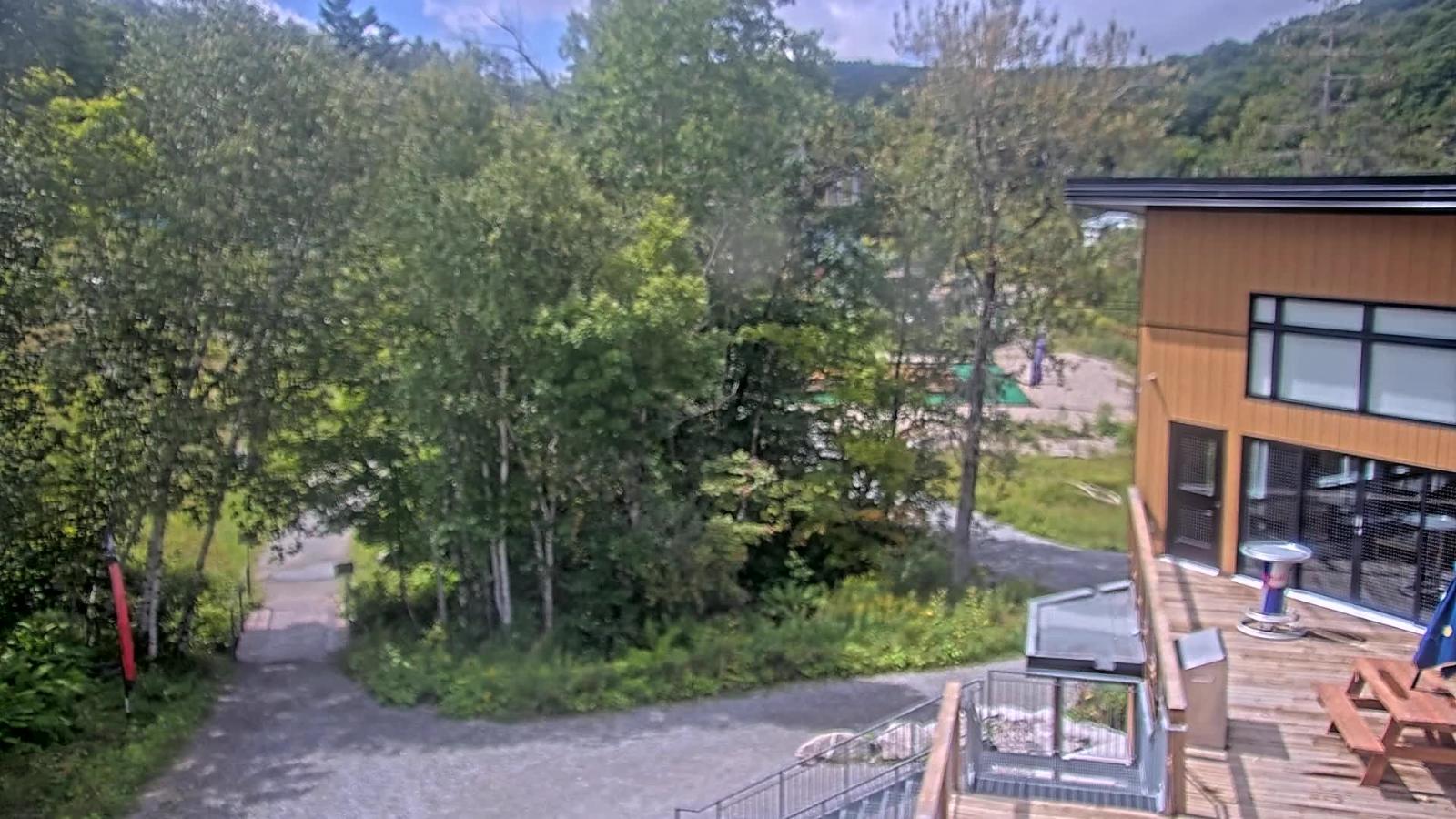 Webcam Camp Fortune: Valley