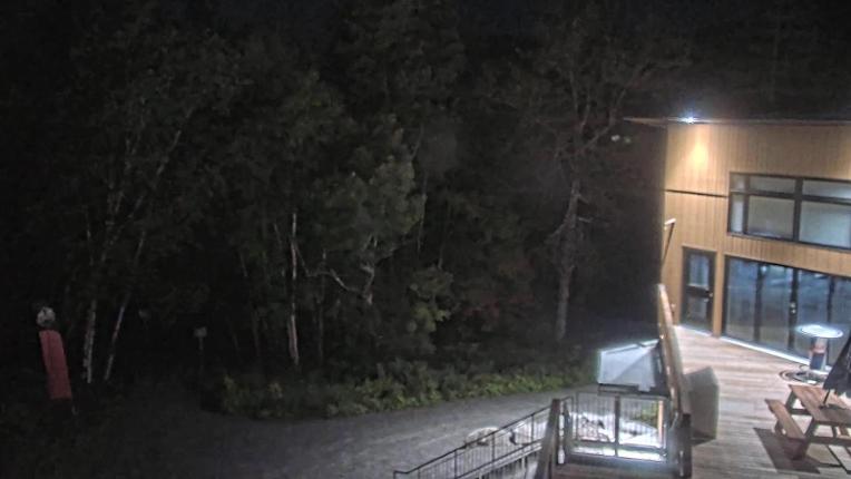 Webcam Camp Fortune: Valley