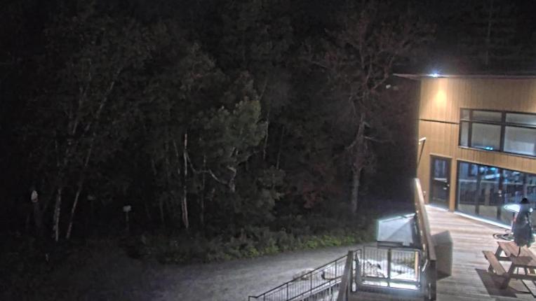 Webcam Camp Fortune: Valley