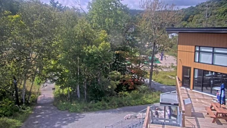 Webcam Camp Fortune: Valley