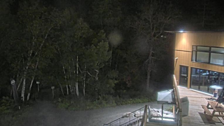Webcam Camp Fortune: Valley