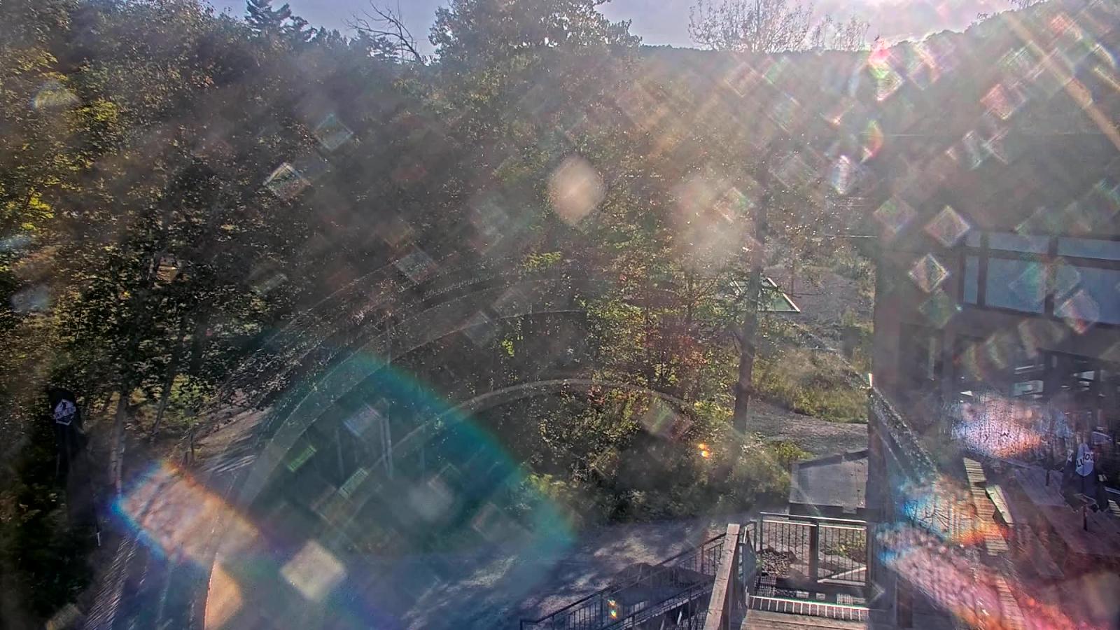 Webcam Camp Fortune: Valley