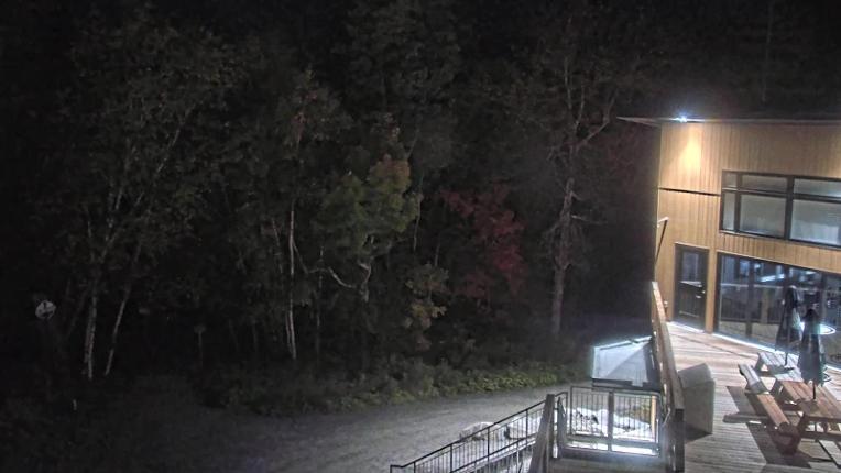 Webcam Camp Fortune: Valley