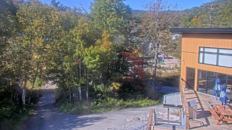 Webcam Camp Fortune: Valley