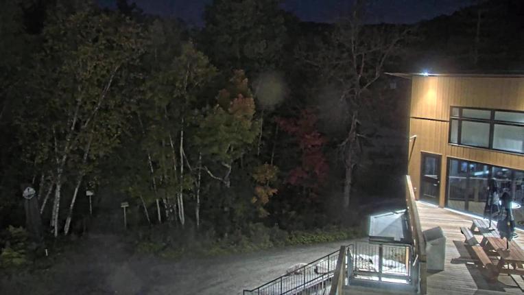 Webcam Camp Fortune: Valley