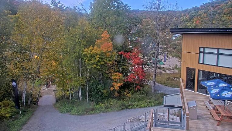 Webcam Camp Fortune: Valley