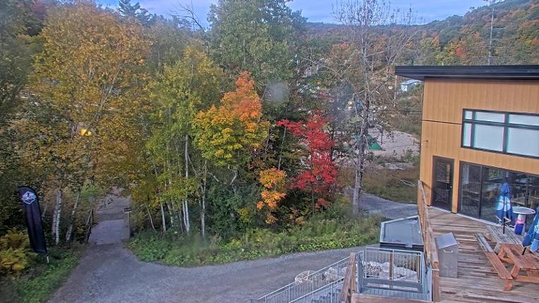 Webcam Camp Fortune: Valley