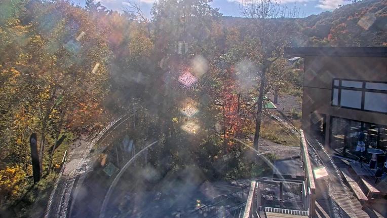 Webcam Camp Fortune: Valley
