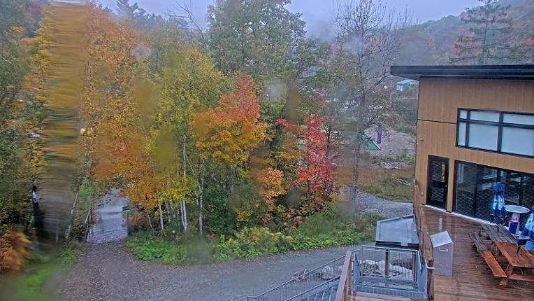 Webcam Camp Fortune: Valley