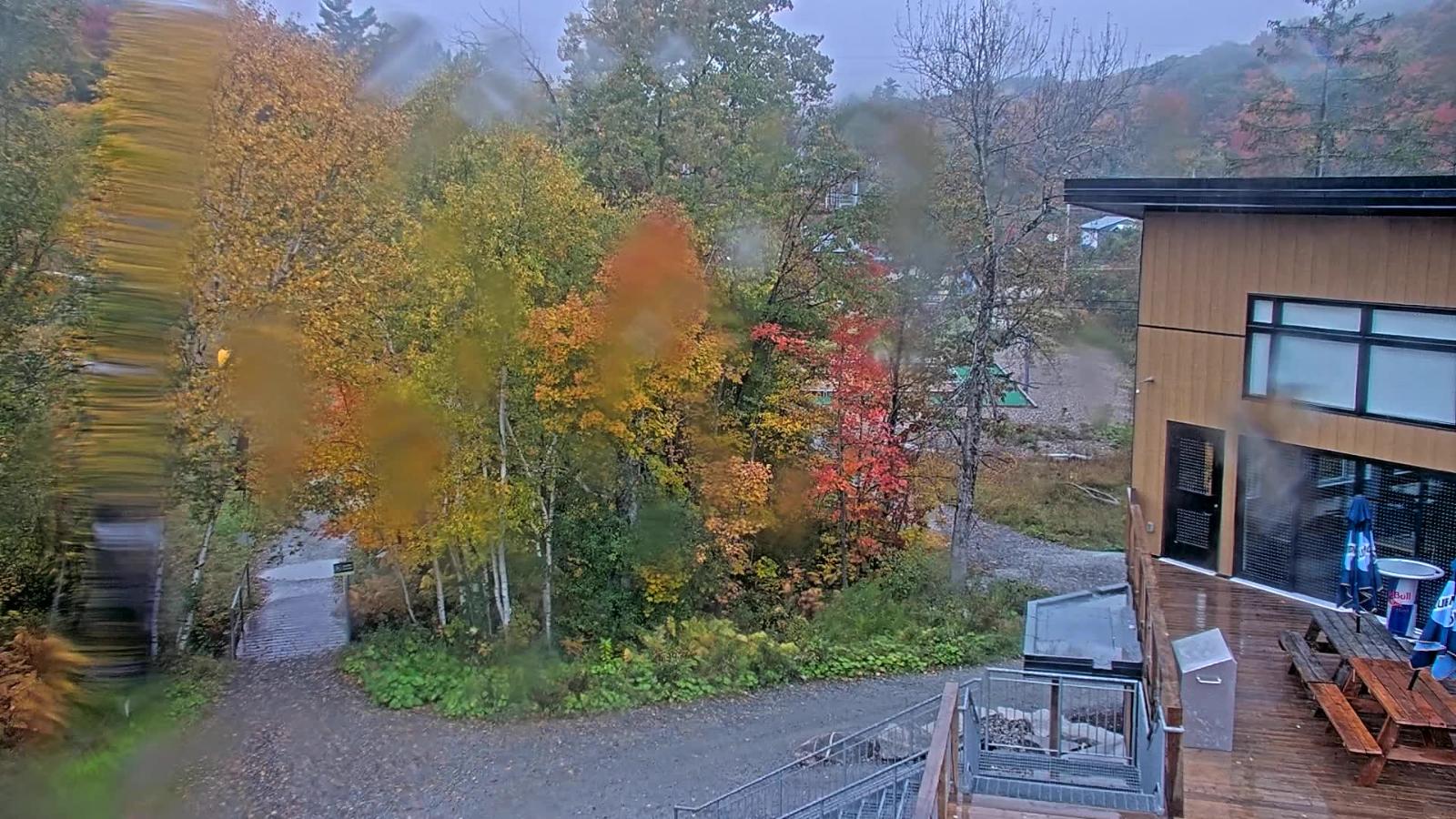 Webcam Camp Fortune: Valley