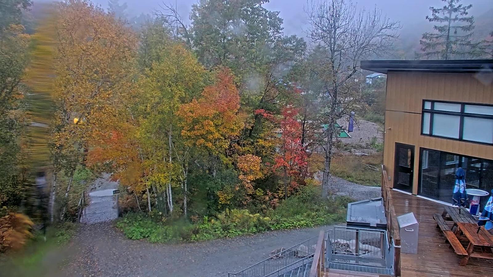 Webcam Camp Fortune: Valley