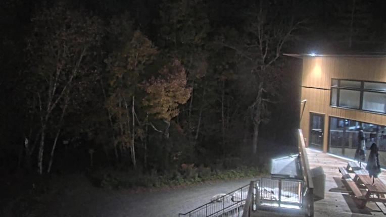 Webcam Camp Fortune: Valley