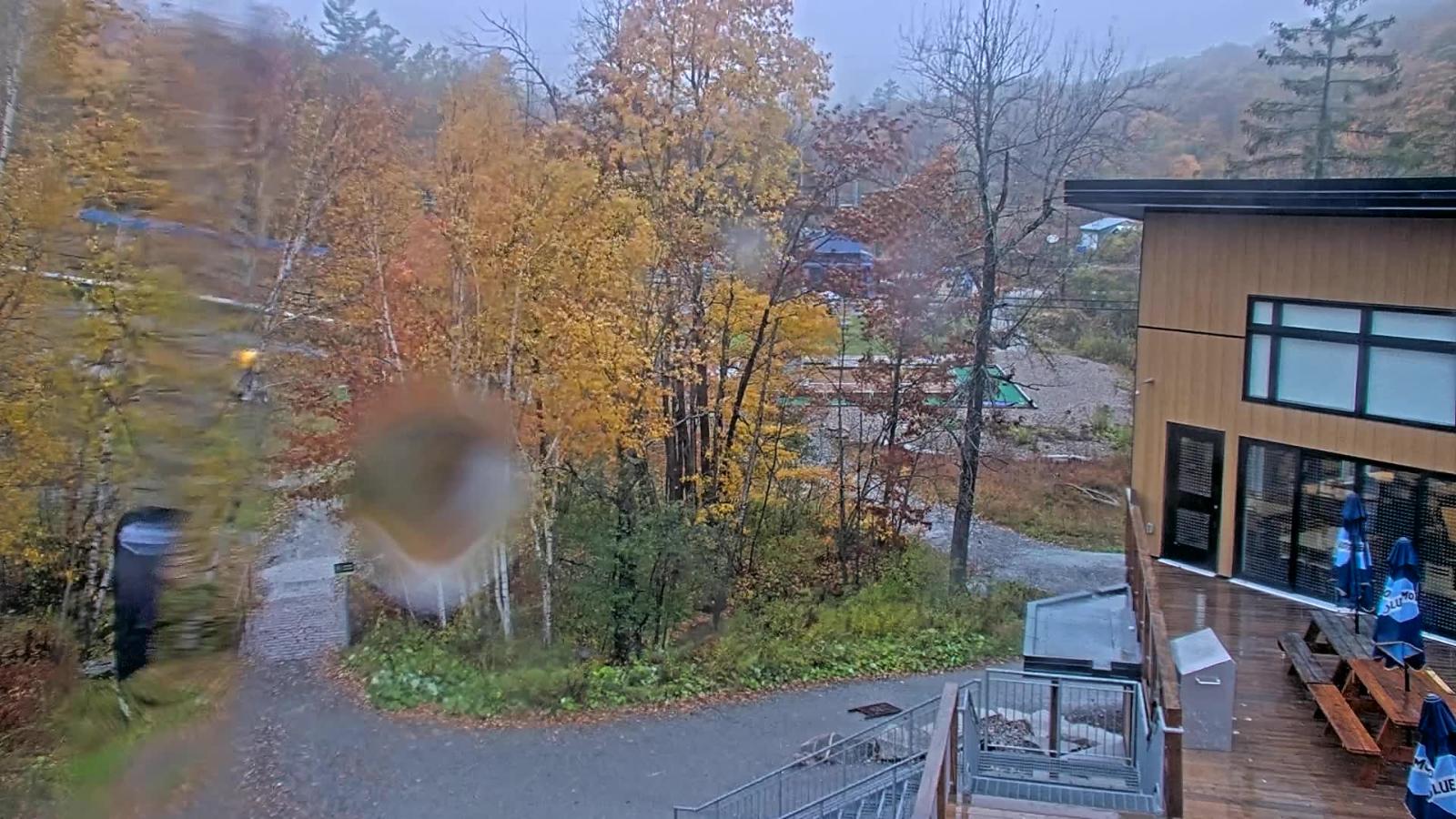 Webcam Camp Fortune: Valley