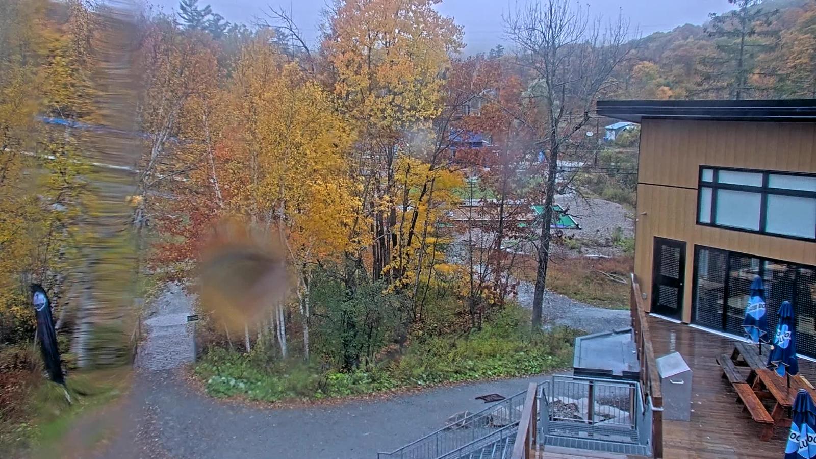 Webcam Camp Fortune: Valley