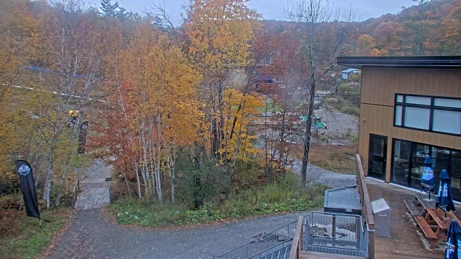 Webcam Camp Fortune: Valley