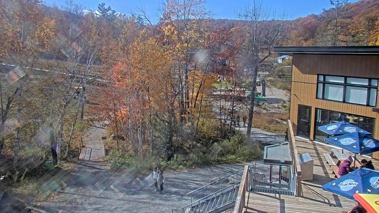 Webcam Camp Fortune: Valley