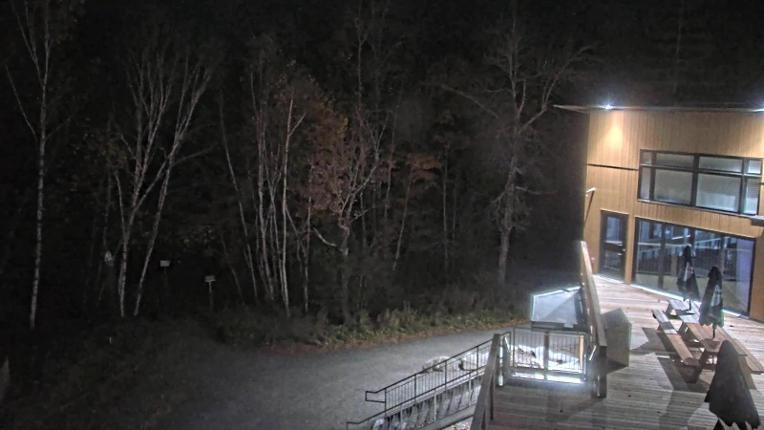Webcam Camp Fortune: Valley