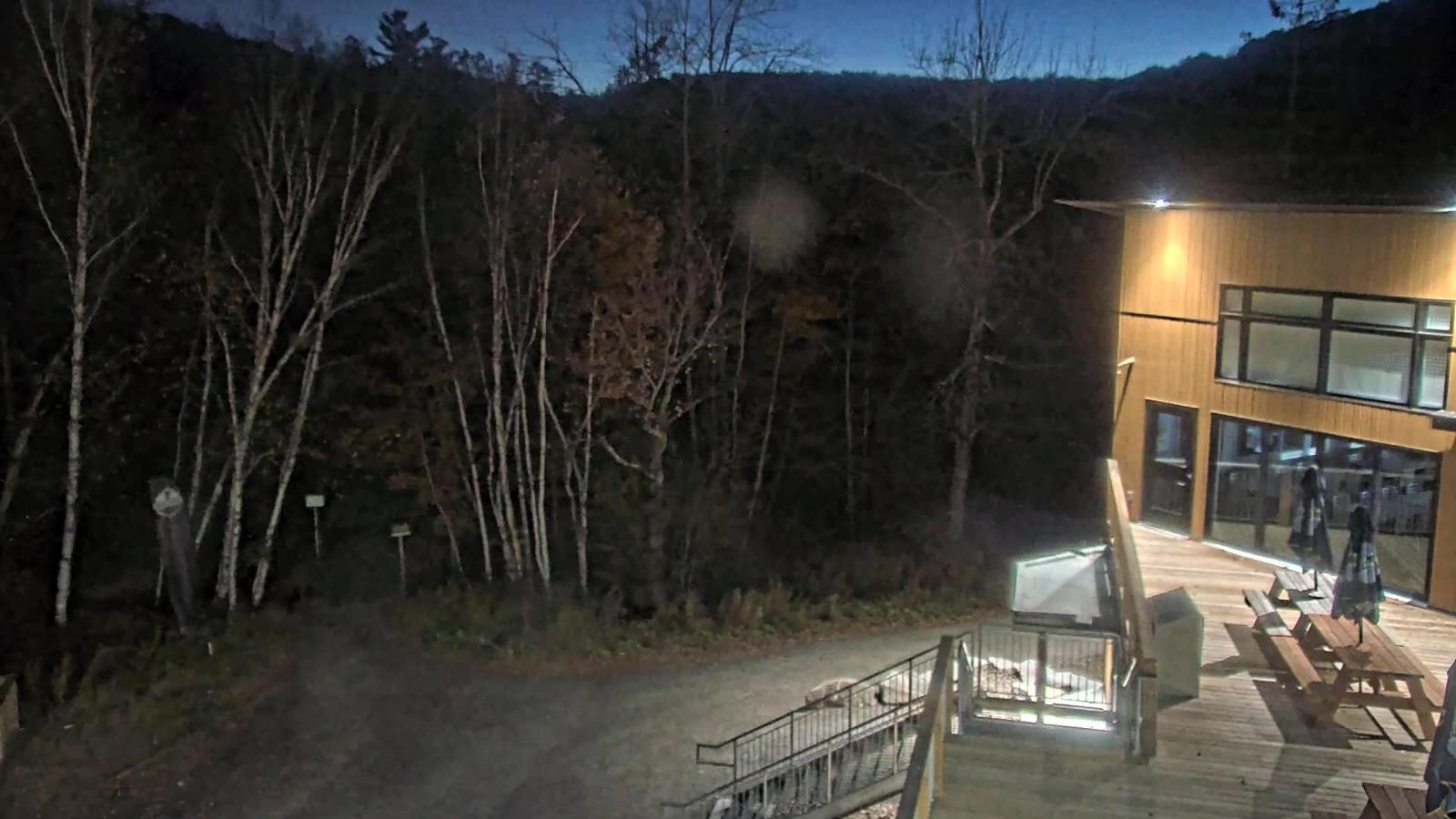 Webcam Camp Fortune: Valley