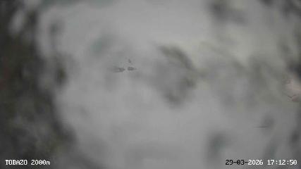 Candanchú: Tobazo(Candanchu.com)